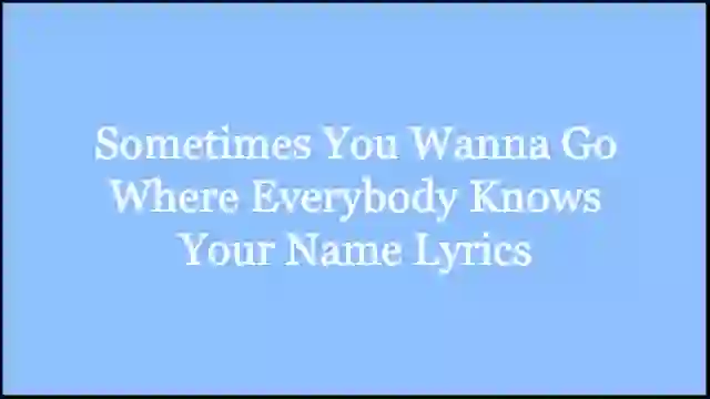 Sometimes You Wanna Go Where Everybody Knows Your Name Lyrics