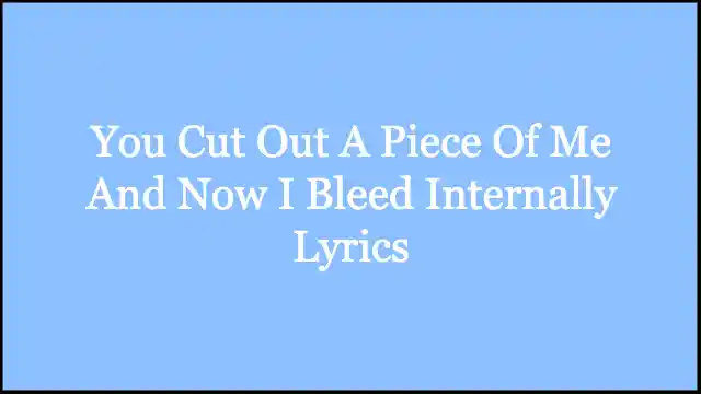 You Cut Out A Piece Of Me And Now I Bleed Internally Lyrics