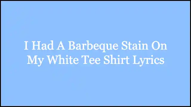 I Had A Barbeque Stain On My White Tee Shirt Lyrics