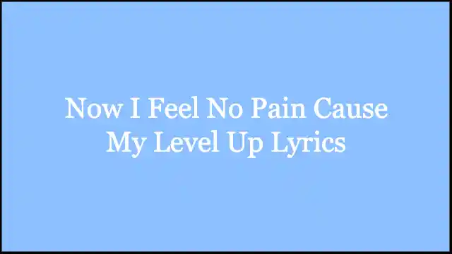 Now I Feel No Pain Cause My Level Up Lyrics