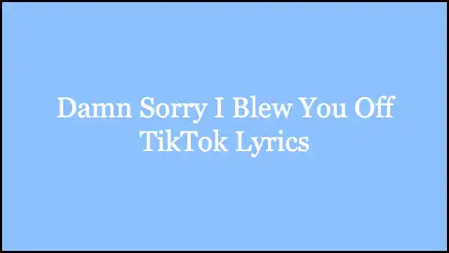 Damn Sorry I Blew You Off TikTok Lyrics
