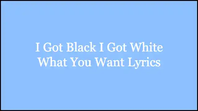 I Got Black I Got White What You Want Lyrics