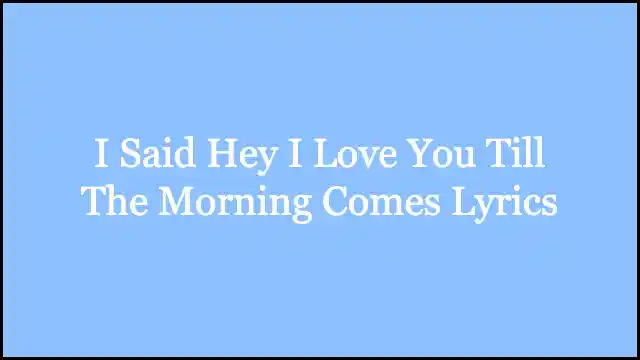 I Said Hey I Love You Till The Morning Comes Lyrics