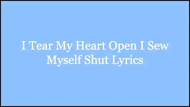 I Tear My Heart Open I Sew Myself Shut Lyrics
