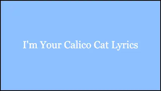 I'm Your Calico Cat Lyrics