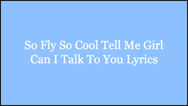 So Fly So Cool Tell Me Girl Can I Talk To You Lyrics