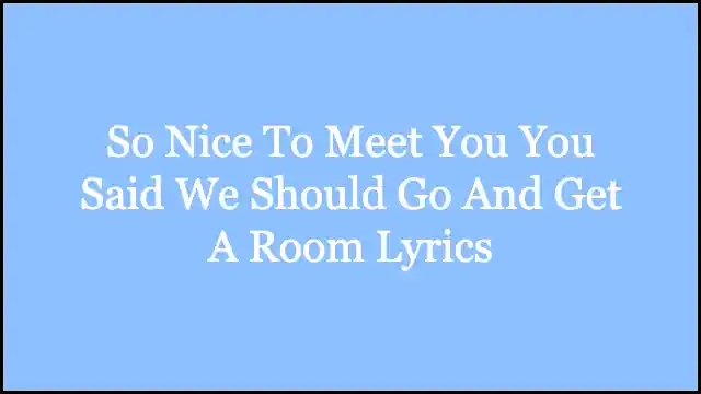 So Nice To Meet You You Said We Should Go And Get A Room Lyrics