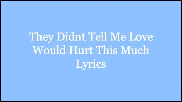 They Didnt Tell Me Love Would Hurt This Much Lyrics