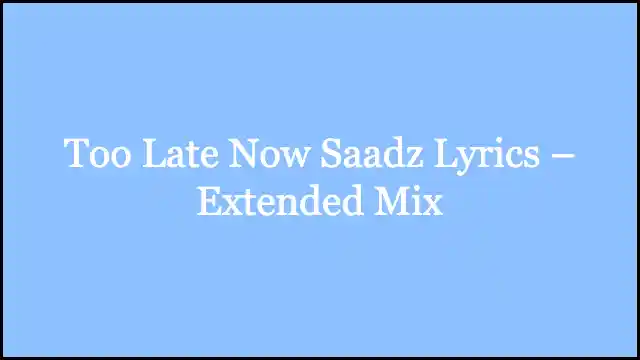 Too Late Now Saadz Lyrics – Extended Mix