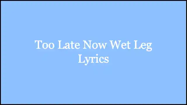 Too Late Now Wet Leg Lyrics