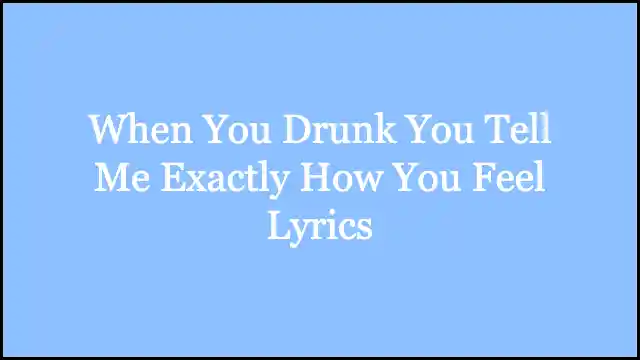 When You Drunk You Tell Me Exactly How You Feel Lyrics