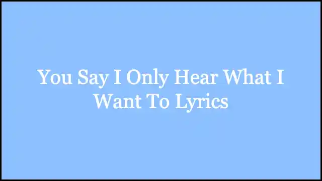 You Say I Only Hear What I Want To Lyrics