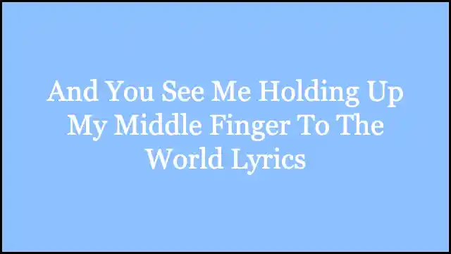 And You See Me Holding Up My Middle Finger To The World Lyrics