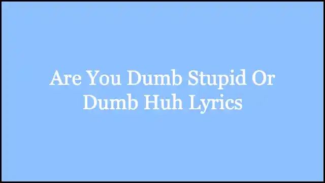 Are You Dumb Stupid Or Dumb Huh Lyrics