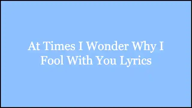 At Times I Wonder Why I Fool With You Lyrics