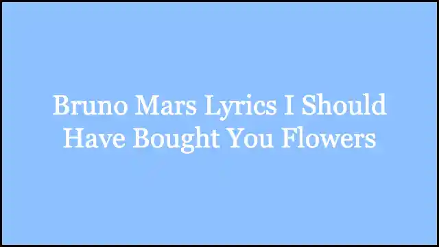 Bruno Mars Lyrics I Should Have Bought You Flowers