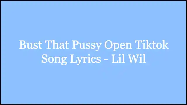 Bust That Pussy Open Tiktok Song Lyrics - Lil Wil