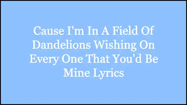 Cause I'm In A Field Of Dandelions Wishing On Every One That You'd Be Mine Lyrics