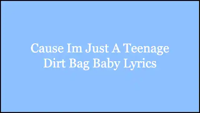 Cause Im Just A Teenage Dirt Bag Baby Lyrics