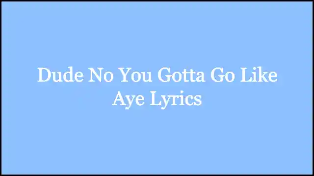 Dude No You Gotta Go Like Aye Lyrics