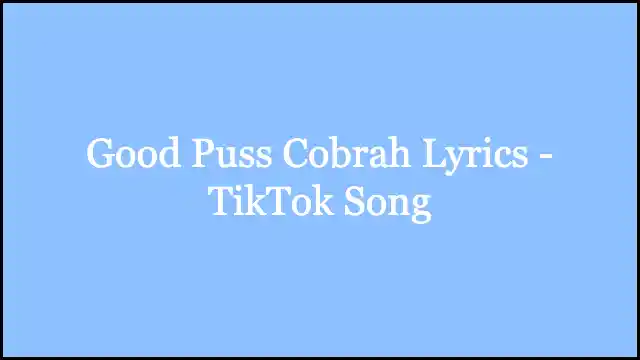 Good Puss Cobrah Lyrics - TikTok Song