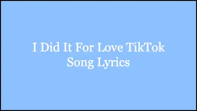I Did It For Love TikTok Song Lyrics