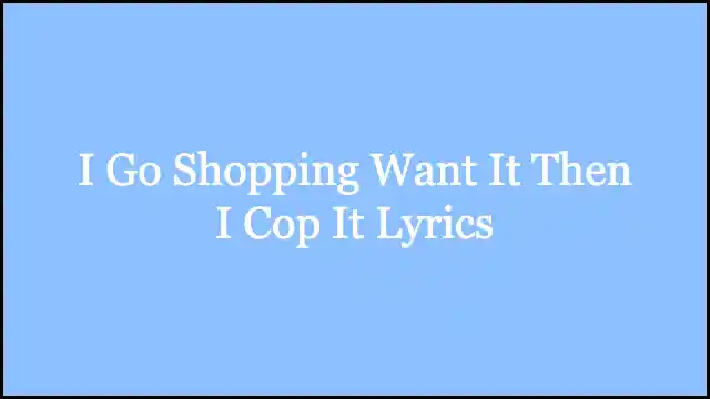 I Go Shopping Want It Then I Cop It Lyrics