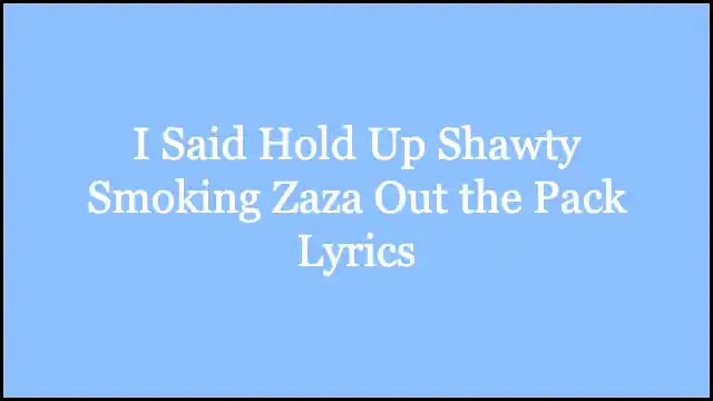 I Said Hold Up Shawty Smoking Zaza Out the Pack Lyrics