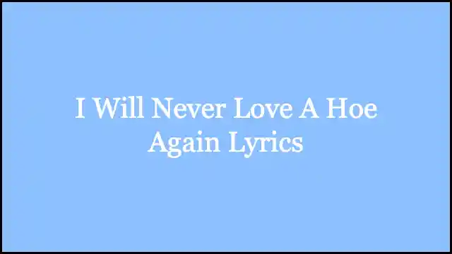 I Will Never Love A Hoe Again Lyrics