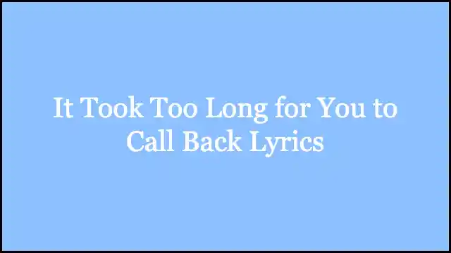 It Took Too Long for You to Call Back Lyrics