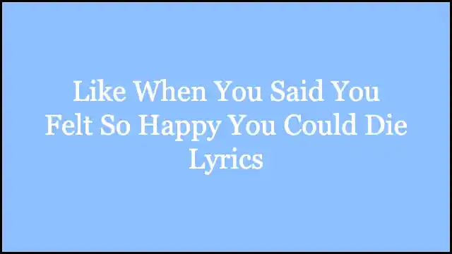 Like When You Said You Felt So Happy You Could Die Lyrics