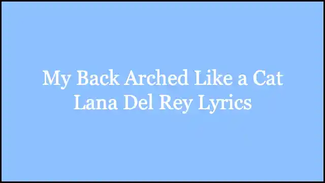 My Back Arched Like a Cat Lana Del Rey Lyrics