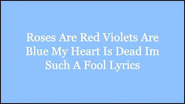 Roses Are Red Violets Are Blue My Heart Is Dead Im Such A Fool Lyrics