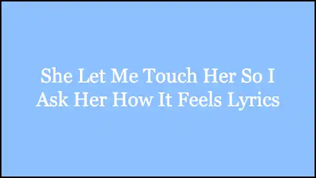 She Let Me Touch Her So I Ask Her How It Feels Lyrics
