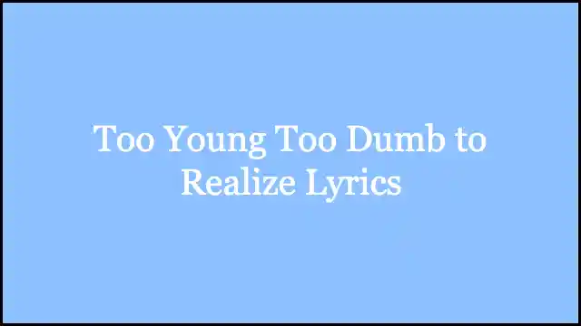 Too Young Too Dumb to Realize Lyrics