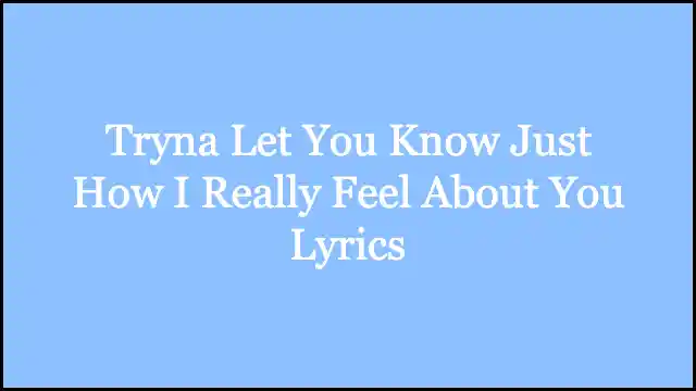 Tryna Let You Know Just How I Really Feel About You Lyrics