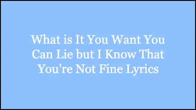 What is It You Want You Can Lie but I Know That You’re Not Fine Lyrics
