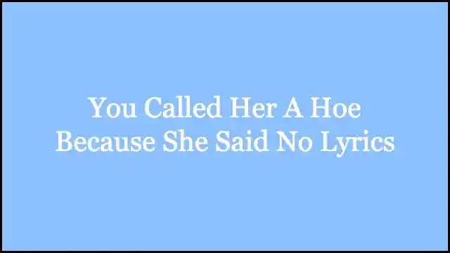 You Called Her A Hoe Because She Said No Lyrics