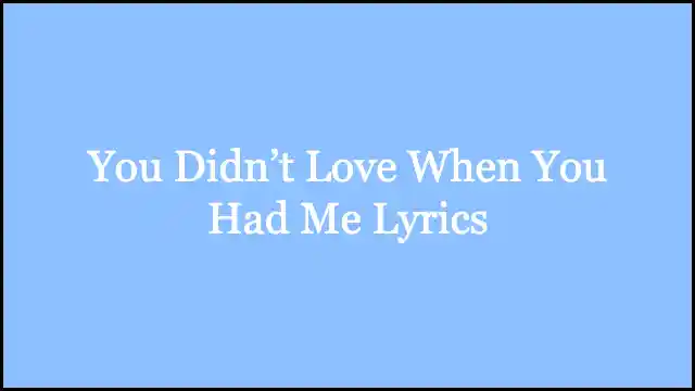 You Didn’t Love When You Had Me Lyrics
