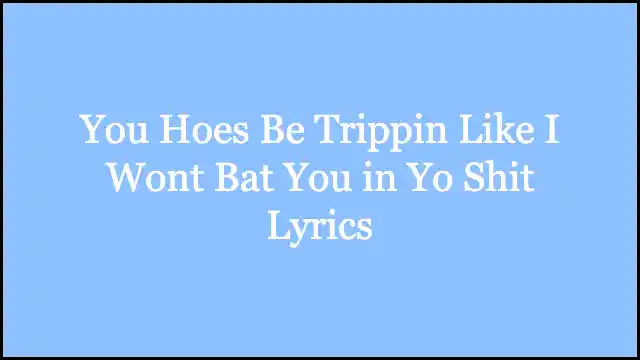 You Hoes Be Trippin Like I Wont Bat You in Yo Shit Lyrics