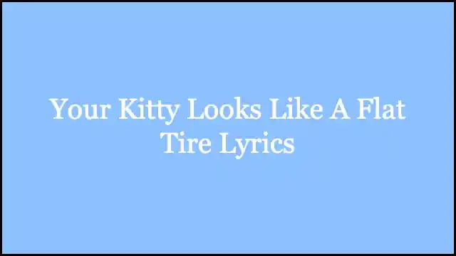 Your Kitty Looks Like A Flat Tire Lyrics