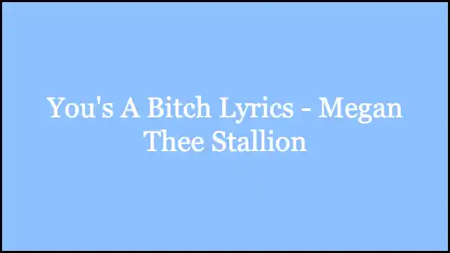 You's A Bitch Lyrics - Megan Thee Stallion