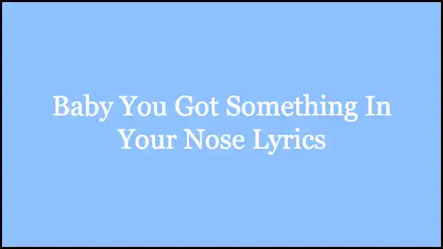 Baby You Got Something In Your Nose Lyrics