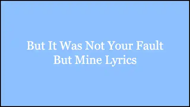 But It Was Not Your Fault But Mine Lyrics