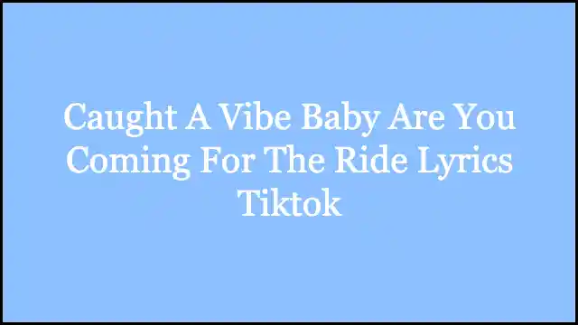 Caught A Vibe Baby Are You Coming For The Ride Lyrics Tiktok