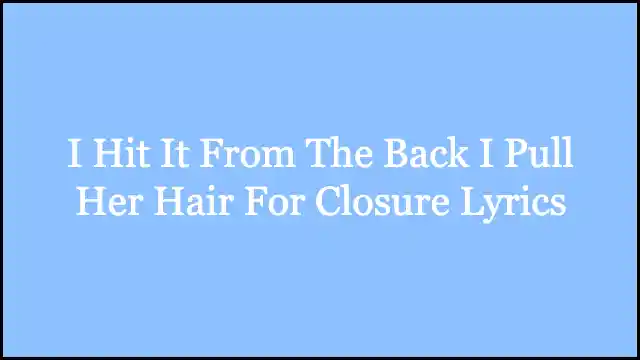 I Hit It From The Back I Pull Her Hair For Closure Lyrics