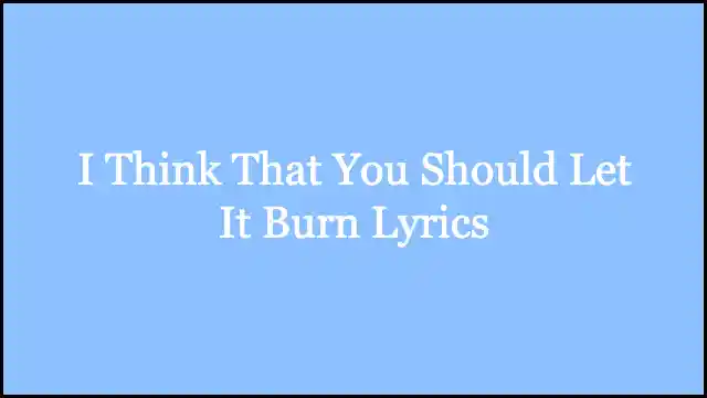 I Think That You Should Let It Burn Lyrics