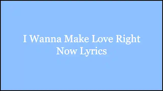 I Wanna Make Love Right Now Lyrics