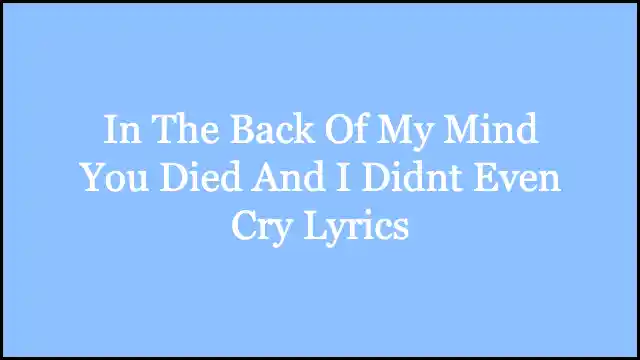 In The Back Of My Mind You Died And I Didnt Even Cry Lyrics