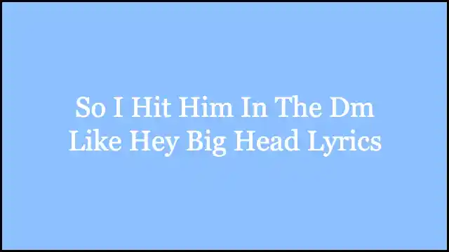 So I Hit Him In The Dm Like Hey Big Head Lyrics